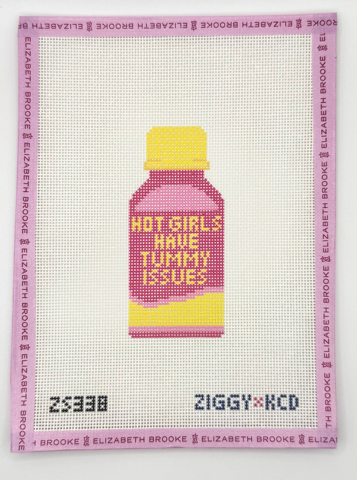 Hot Girls Have Tummy Issues Needlepoint Canvas